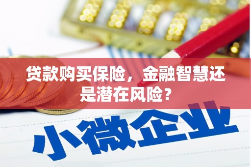 盱眙贷款购买保险，金融智慧还是潜在风险？