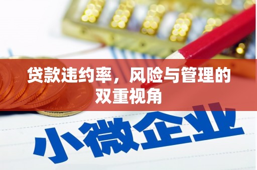 盱眙贷款违约率，风险与管理的双重视角