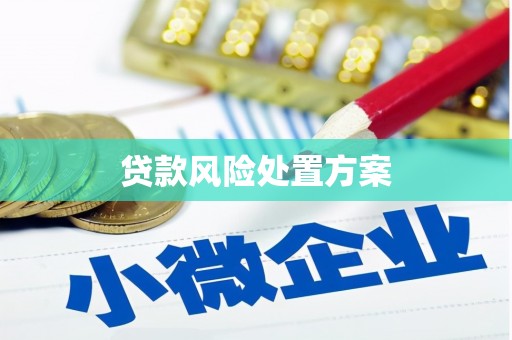 盱眙贷款风险处置方案