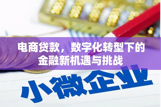 盱眙电商贷款，数字化转型下的金融新机遇与挑战