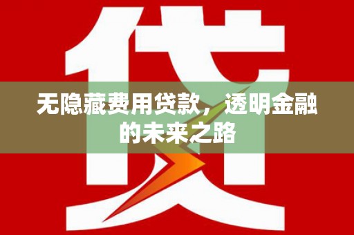 盱眙无隐藏费用贷款，透明金融的未来之路