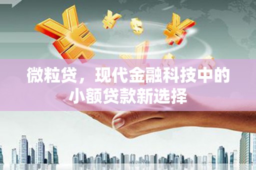 盱眙微粒贷，现代金融科技中的小额贷款新选择