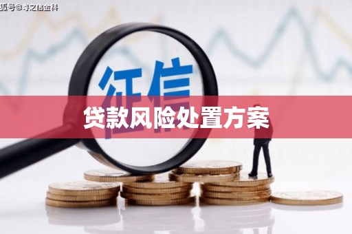 盱眙贷款风险处置方案