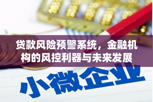 盱眙贷款风险预警系统，金融机构的风控利器与未来发展