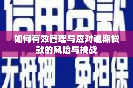 盱眙如何有效管理与应对逾期贷款的风险与挑战