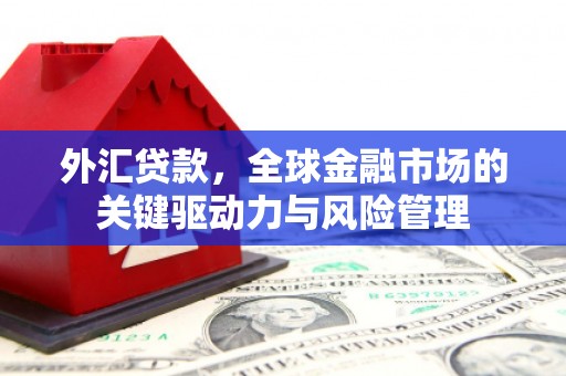 盱眙外汇贷款，全球金融市场的关键驱动力与风险管理