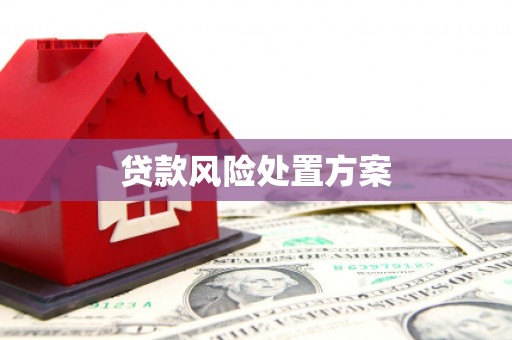 盱眙贷款风险处置方案