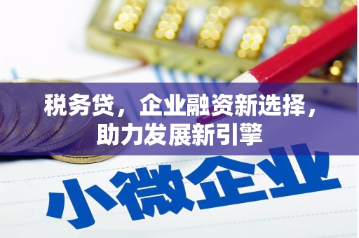 盱眙税务贷，企业融资新选择，助力发展新引擎