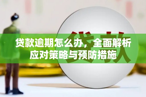 盱眙贷款逾期怎么办，全面解析应对策略与预防措施