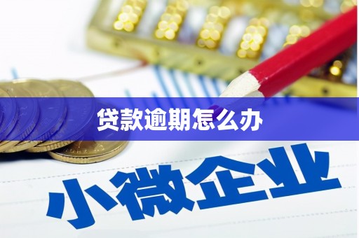 盱眙贷款逾期怎么办