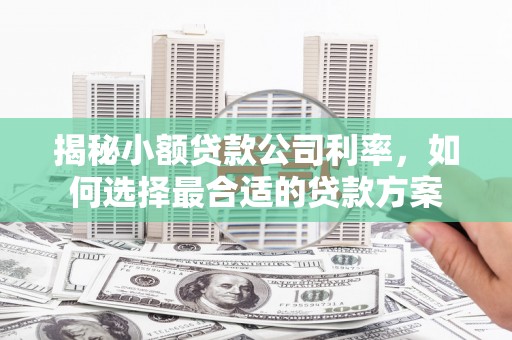 盱眙揭秘小额贷款公司利率，如何选择最合适的贷款方案