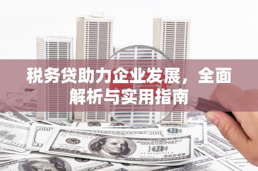 盱眙税务贷助力企业发展，全面解析与实用指南