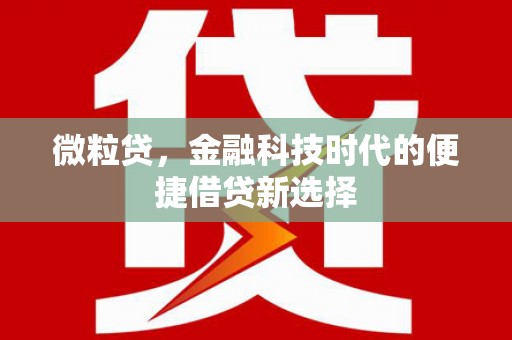盱眙微粒贷，金融科技时代的便捷借贷新选择