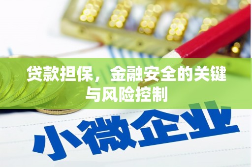 盱眙贷款担保，金融安全的关键与风险控制