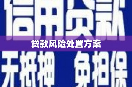 盱眙贷款风险处置方案